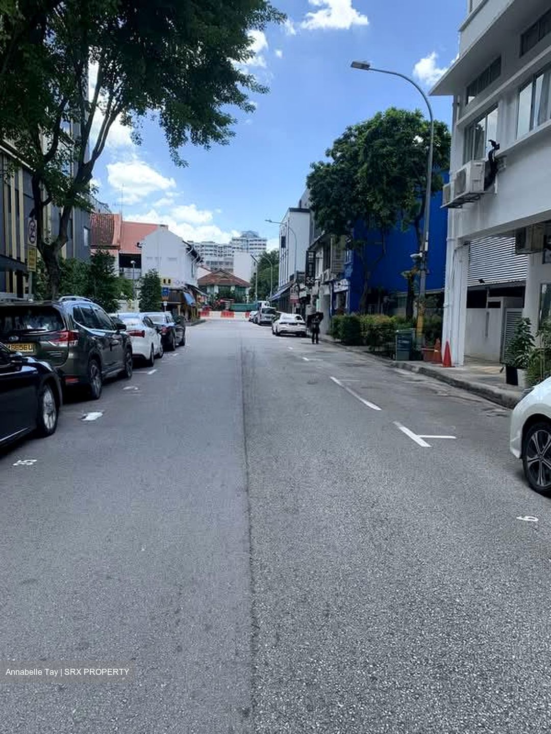 Lorong 25a Geylang (D14), Terrace #529122501